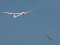 Veranstaltungsbild Flugplatzbesichtigung mit Rundflug